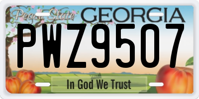 GA license plate PWZ9507