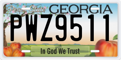 GA license plate PWZ9511
