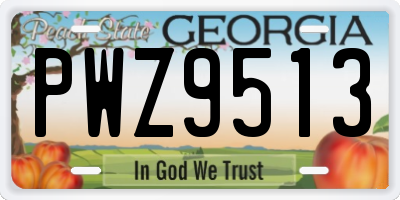 GA license plate PWZ9513
