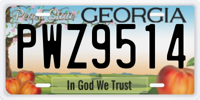 GA license plate PWZ9514