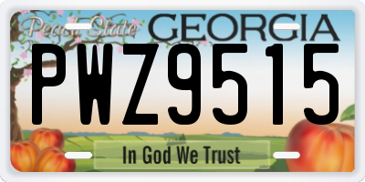GA license plate PWZ9515