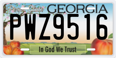 GA license plate PWZ9516