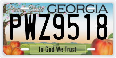 GA license plate PWZ9518