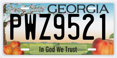 GA license plate PWZ9521