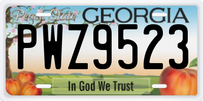 GA license plate PWZ9523
