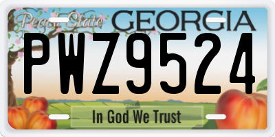 GA license plate PWZ9524
