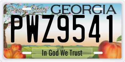 GA license plate PWZ9541
