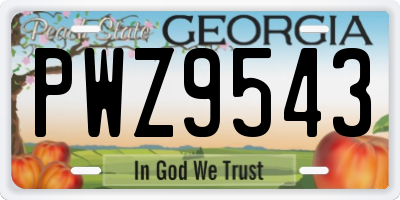 GA license plate PWZ9543