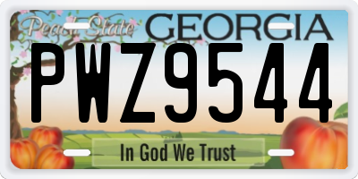GA license plate PWZ9544