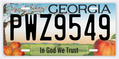GA license plate PWZ9549
