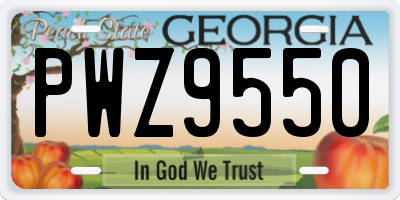 GA license plate PWZ9550