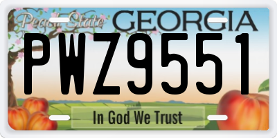GA license plate PWZ9551