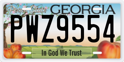 GA license plate PWZ9554