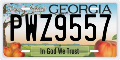 GA license plate PWZ9557