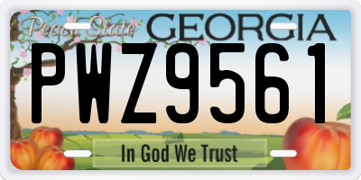 GA license plate PWZ9561