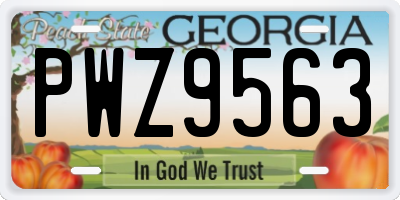 GA license plate PWZ9563