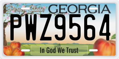GA license plate PWZ9564