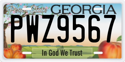 GA license plate PWZ9567