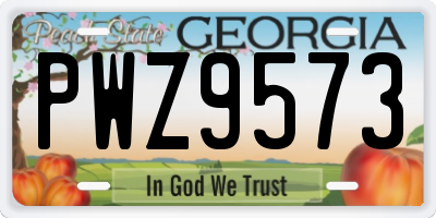 GA license plate PWZ9573