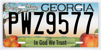 GA license plate PWZ9577