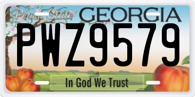 GA license plate PWZ9579