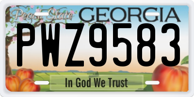 GA license plate PWZ9583