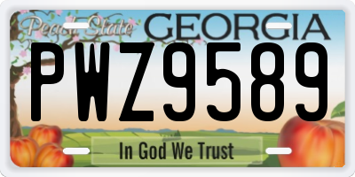 GA license plate PWZ9589