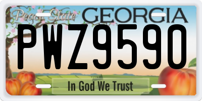 GA license plate PWZ9590