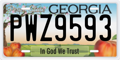GA license plate PWZ9593
