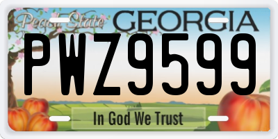 GA license plate PWZ9599