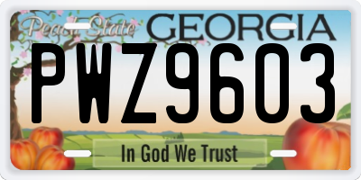 GA license plate PWZ9603
