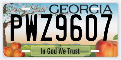 GA license plate PWZ9607