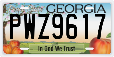GA license plate PWZ9617