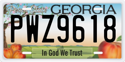 GA license plate PWZ9618