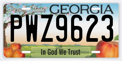 GA license plate PWZ9623