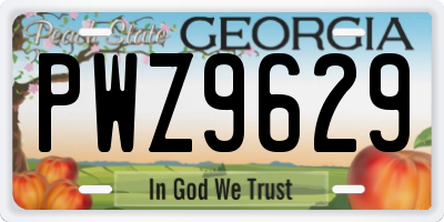 GA license plate PWZ9629
