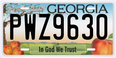 GA license plate PWZ9630