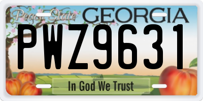 GA license plate PWZ9631
