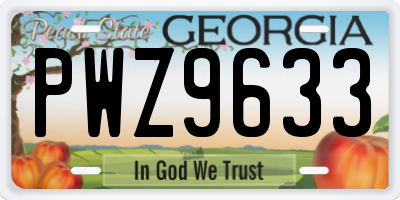 GA license plate PWZ9633