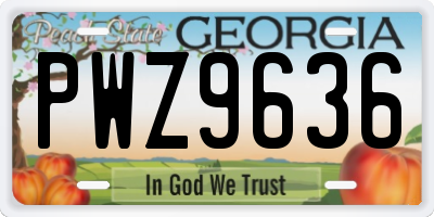 GA license plate PWZ9636