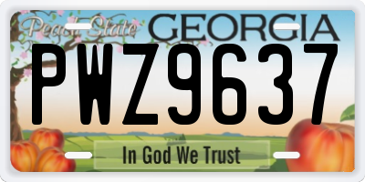 GA license plate PWZ9637