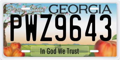 GA license plate PWZ9643