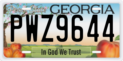 GA license plate PWZ9644
