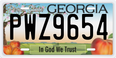 GA license plate PWZ9654