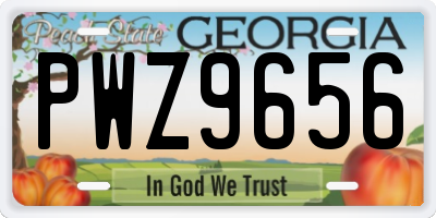 GA license plate PWZ9656