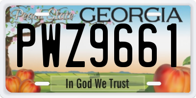 GA license plate PWZ9661