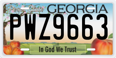 GA license plate PWZ9663