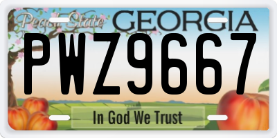 GA license plate PWZ9667