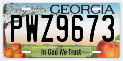 GA license plate PWZ9673