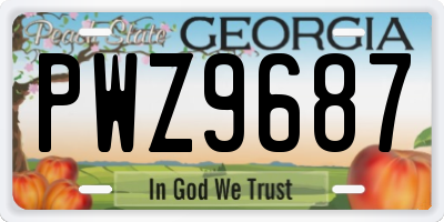 GA license plate PWZ9687